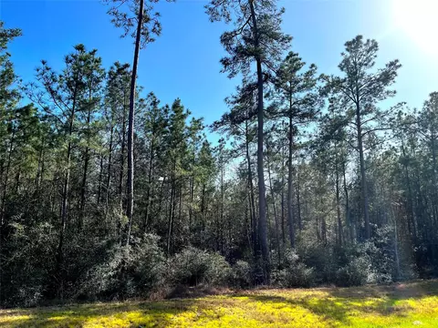 228 Exploration Rd, Willis, TX 77378 photo 8