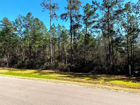 228 Exploration Rd, Willis, TX 77378 photo 4