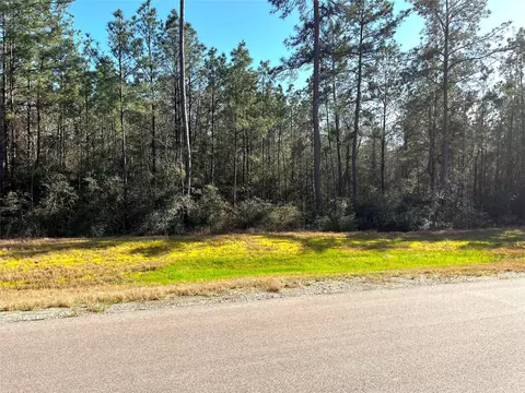 228 Exploration Rd, Willis, TX 77378 photo 5