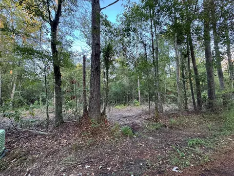 730 Cr 459, Kirbyville, TX 75956
