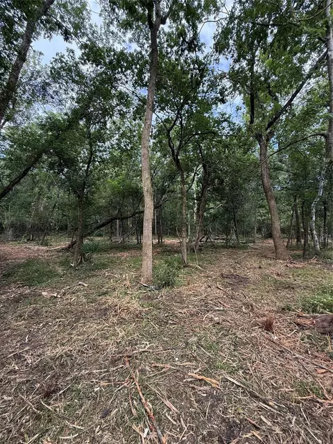 tbd 00 County Road 647, Guy, TX 77444 photo 4