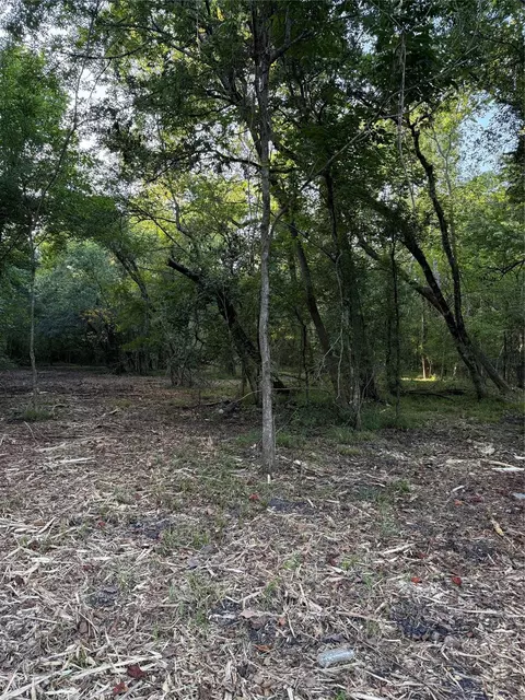 tbd 00 County Road 647, Guy, TX 77444 photo 5
