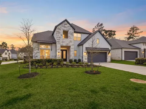 503 Carina Gaze Dr, Willis, TX 77318
