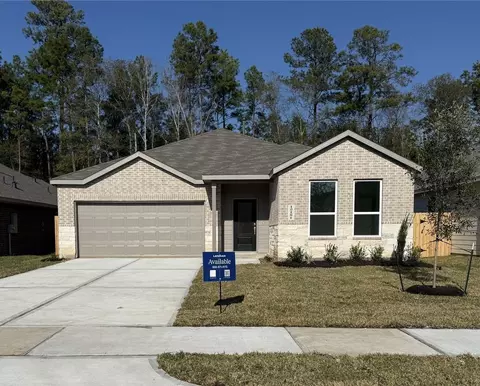 22022 Maddaloni View Dr, Hockley, TX 77447