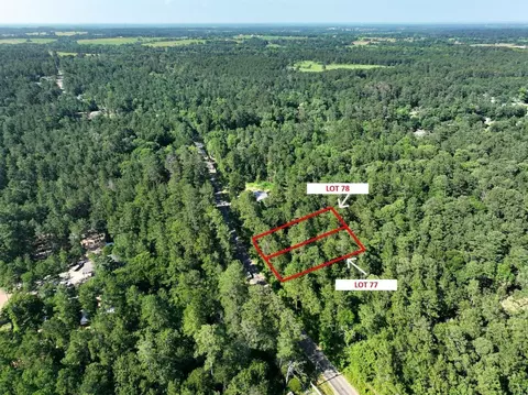 tbd Pinebrook Dr, Plantersville, TX 77363