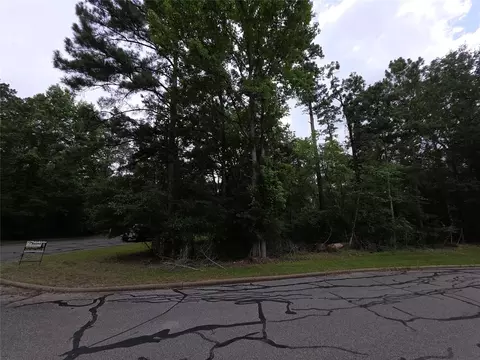 tbd Bermuda Dune, Huntsville, TX 77364