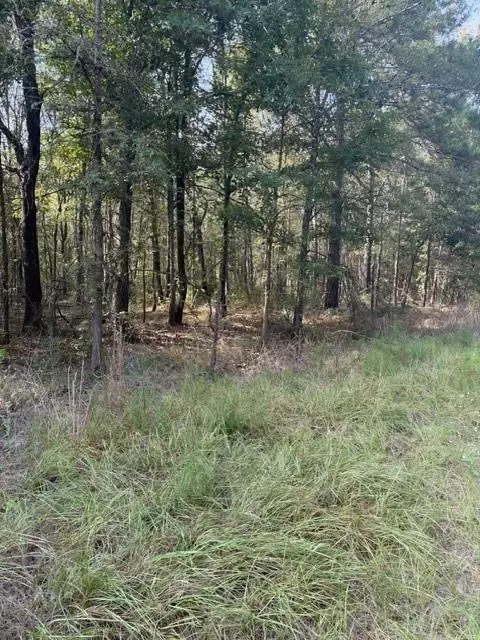 000 Wood Frst, Livingston, TX 77351
