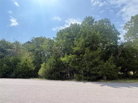 23 N Pine Harbour Dr, Coldspring, TX 77331