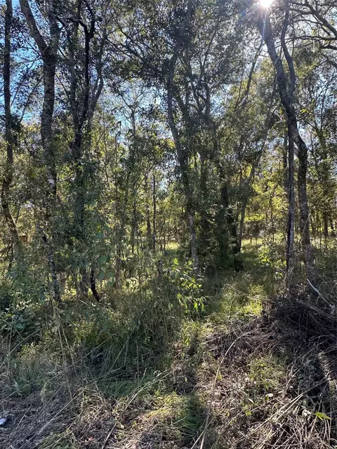 00 Oak Forest Dr, Guy, TX 77444 photo 5