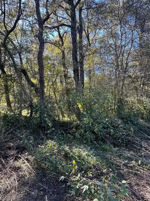 00 Oak Forest Dr, Guy, TX 77444 photo 2