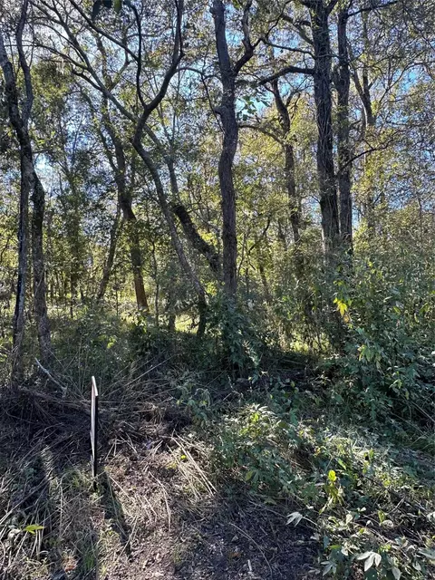 00 Oak Forest Dr, Guy, TX 77444