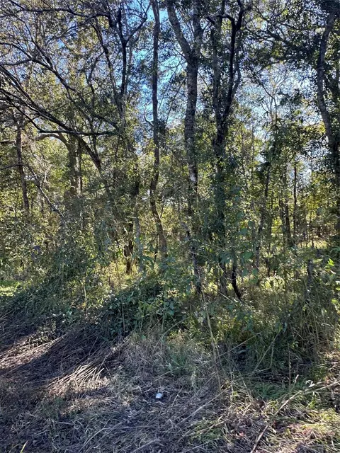 00 Oak Forest Dr, Guy, TX 77444 photo 8