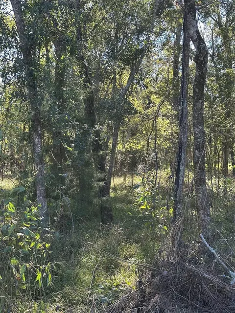 00 Oak Forest Dr, Guy, TX 77444 photo 10