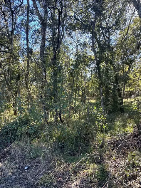 00 Oak Forest Dr, Guy, TX 77444 photo 6