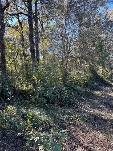 00 Oak Forest Dr, Guy, TX 77444 photo 3