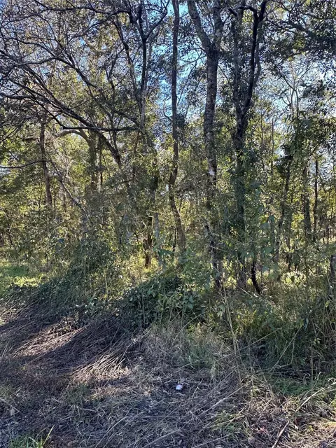 00 Oak Forest Dr, Guy, TX 77444 photo 9