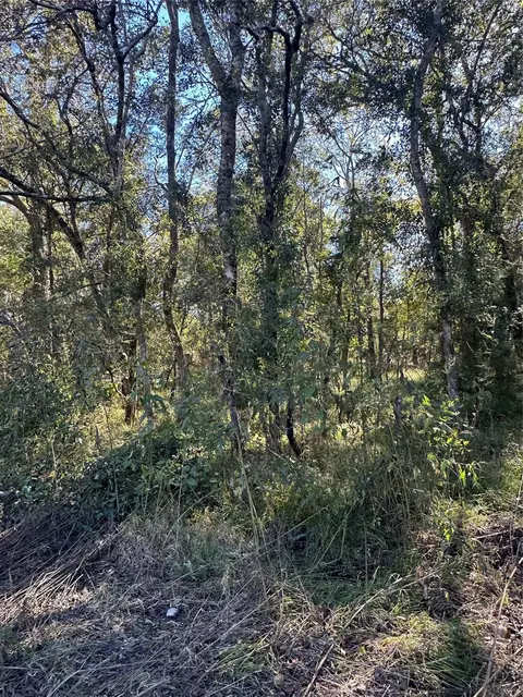 00 Oak Forest Dr, Guy, TX 77444 photo 7