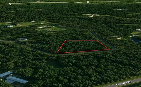 9102 Blue Lake Dr, Plantersville, TX 77363