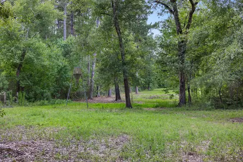 4942 Old Wagon Ln, Richards, TX 77873 photo 20