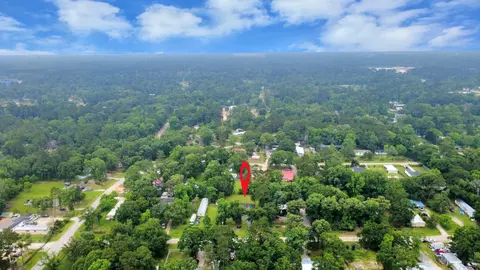 View/Area - 17820 Mcdonald Ct, Conroe, TX 77302 photo 2 of 3