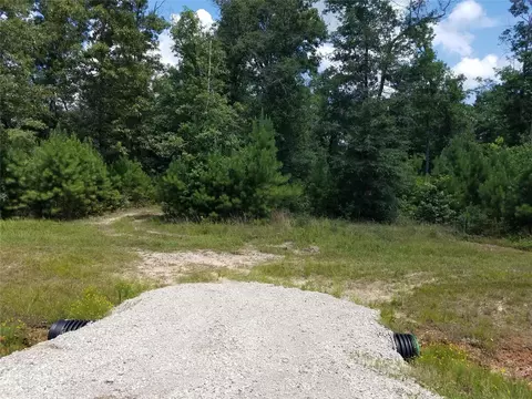 21275 Big Buck Dr, Cleveland, TX 77328