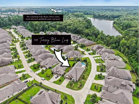 View/Area - 343 Torrey Bloom Loop, Conroe, TX 77304 photo 5 of 9