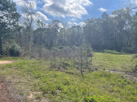 tbd Elendor Dr, Cleveland, TX 77328