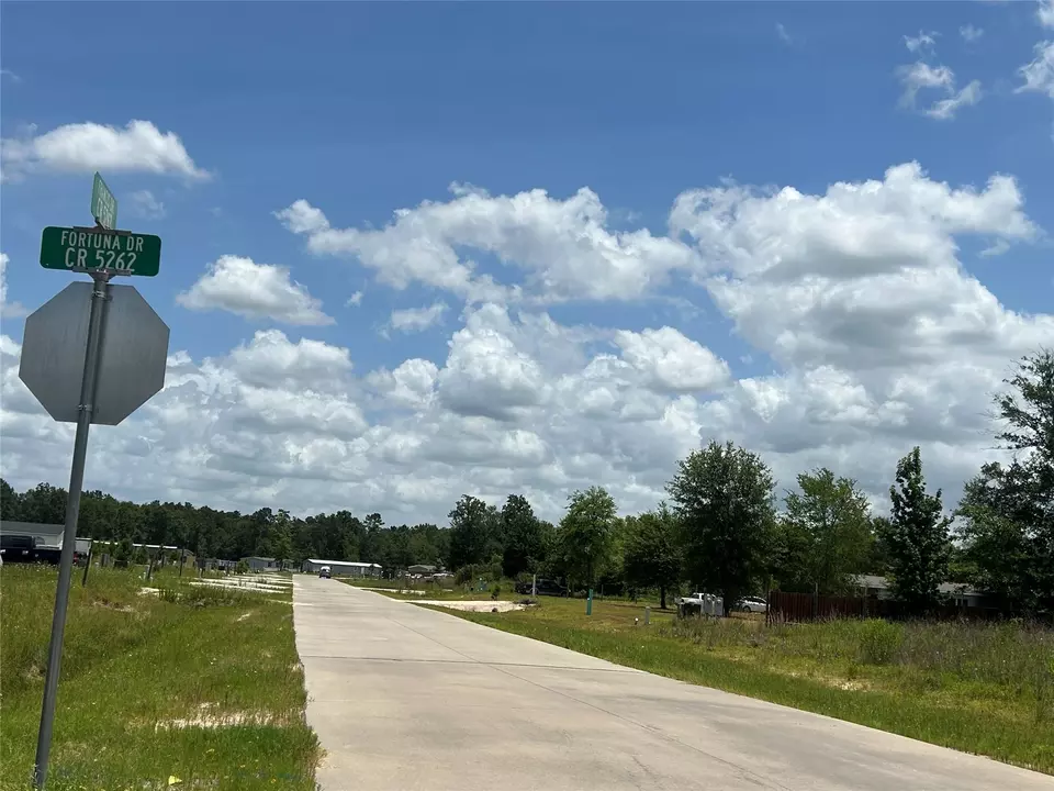  1353 Road 5263, Cleveland, TX 77327 photo 3
