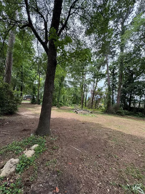 0 Sagewood Dr, Spring, TX 77386 photo 5
