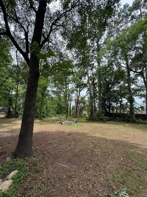0 Sagewood Dr, Spring, TX 77386 photo 3