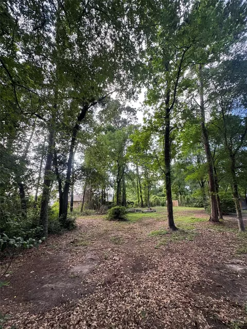 0 Sagewood Dr, Spring, TX 77386 photo 2