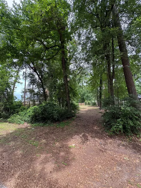 0 Sagewood Dr, Spring, TX 77386 photo 6