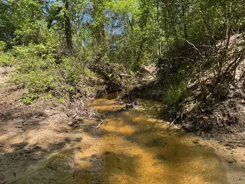 2954 Cr 2170, Grapeland, TX 75844