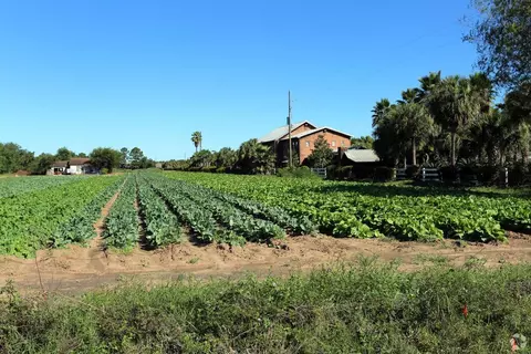 4100 Fm 2920 Rd, Spring, TX 77388 photo 4