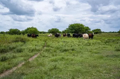 Other - tbd Rice Rd, Cat Spring, TX 78933 photo 8 of 21