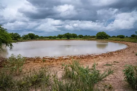 View/Area - tbd Rice Rd, Cat Spring, TX 78933 photo 6 of 13