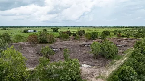 View/Area - tbd Rice Rd, Cat Spring, TX 78933 photo 13 of 13