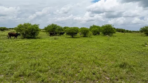 Other - tbd Rice Rd, Cat Spring, TX 78933 photo 17 of 21