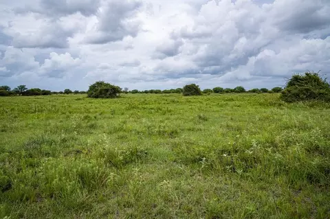 Other - tbd Rice Rd, Cat Spring, TX 78933 photo 7 of 21
