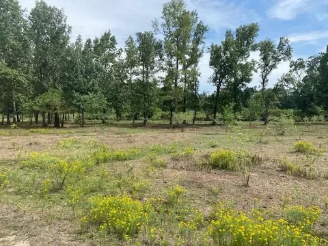 0 Firetower Rd, Conroe, TX 77306 photo 4