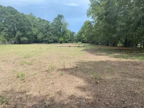0 Firetower Rd, Conroe, TX 77306 photo 6