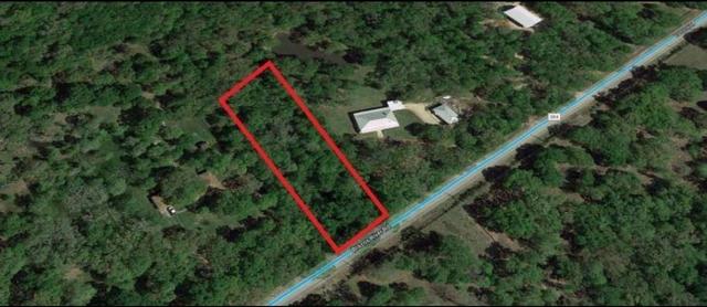 8301 Brazos River Rd, Damon, TX 77430