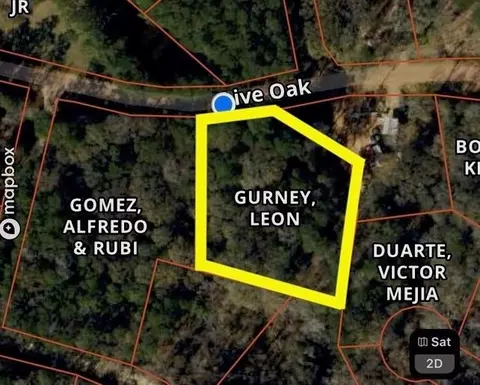tbd Live Oak Dr, Plantersville, TX 77363