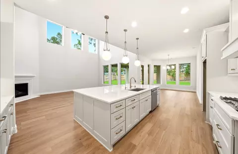 Other - 454 Lontano Path, Willis, TX 77318 photo 6 of 11