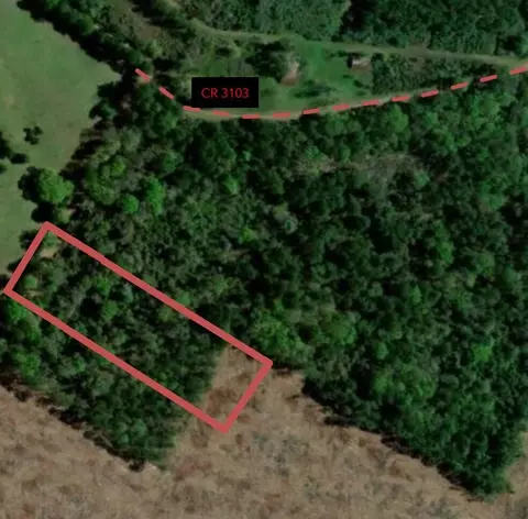 3 50ac County Road 3103, Call, TX 75933