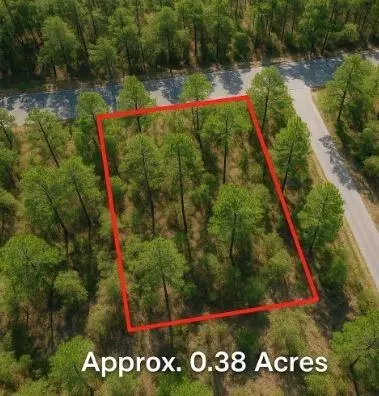 0 Pine Lodge Dr, Bastrop, TX 78602 photo 3
