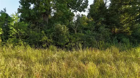 tbd Long Dr, Onalaska, TX 77360