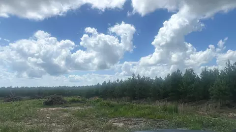 1832 E Soda Loop, Livingston, TX 77351