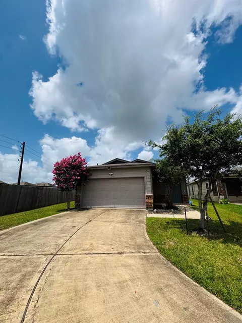 12318 Skyview Rise Court Ct, Houston, TX 77047