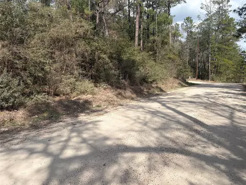 tbd Little Ponderosa Dr, Onalaska, TX 77360